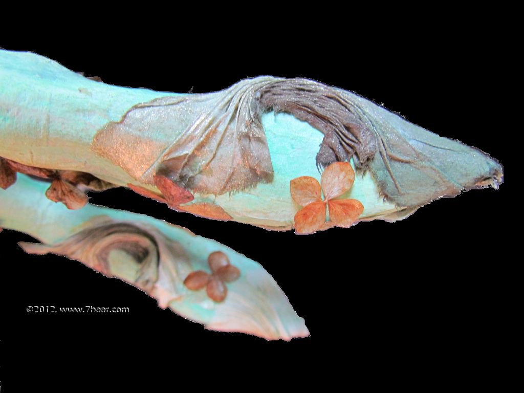 Figur aus Papier<br>Detail F&uuml;sse 